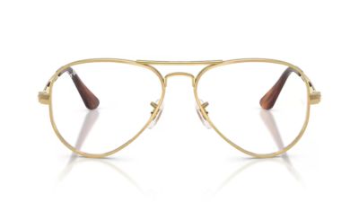 Ray-Ban Aviator Max 3925V